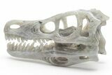 Carved Labradorite Dinosaur Skull #218492-5